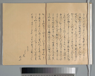 古代手写文书古籍页面