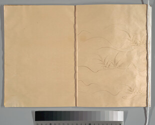 古旧纸张纹理画面