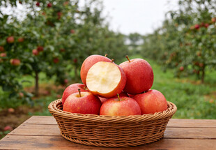 木桌上篮中的红苹果