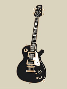 黑色电吉他展示