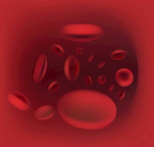 血液中的红细胞微观景象