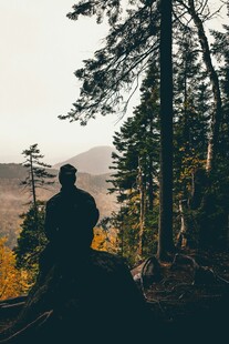 山林间的孤独沉思者