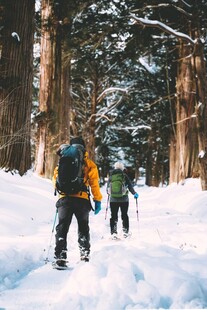 雪地林间徒步的背包客