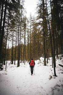 雪地中独行的徒步者