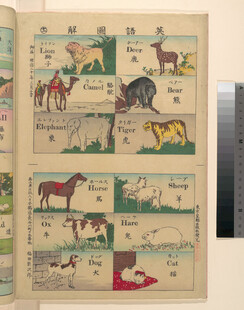 复古动物插画书籍页面