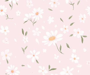 粉色雏菊花卉图案背景