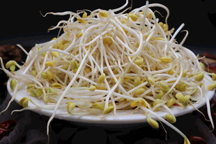 新鲜豆芽