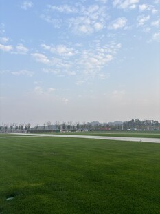 广阔绿草地与蓝天白云