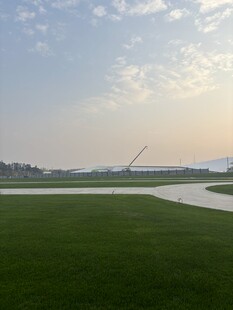 广阔绿地与远处建筑景观