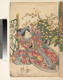 日本传统武士绘