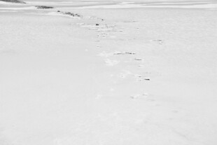 盐湖上的串串足迹