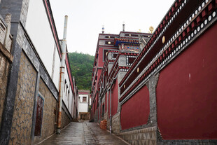 藏式红墙小巷独特景致