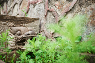 古墙旁的绿植与神秘雕刻