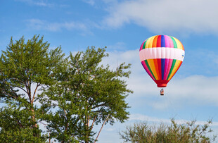 天空中多彩热气球与绿树