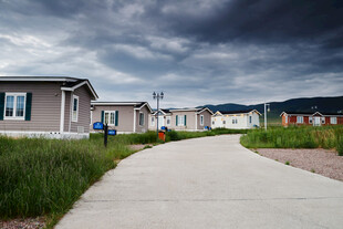 乡村小道旁的排排房屋