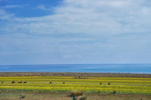 草原风光 蓝天白云下的美景