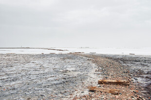 冬日荒凉河岸景象
