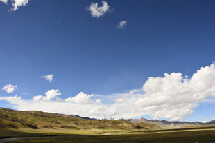 蓝天白云下的广袤原野