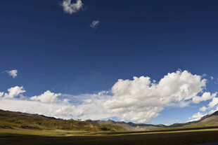 蓝天白云下的广袤原野