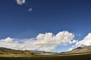 蓝天白云下的广袤原野