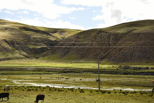 草原山间的宁静牧场景象