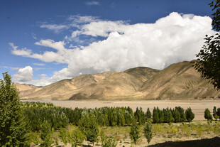 山间葱郁树林与蓝天白云