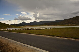 公路边的草原与远山风景