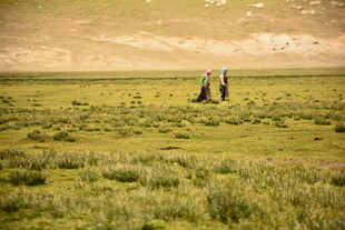 草原上的两人浪漫身影