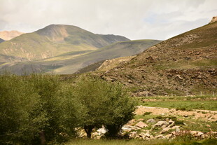 山间葱郁植被与起伏山峦