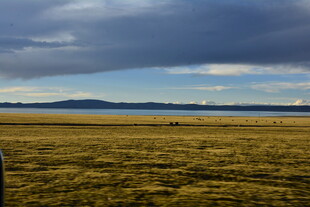 广袤草原与天际的壮美景观