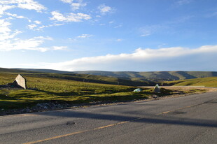 公路旁的开阔田园风光