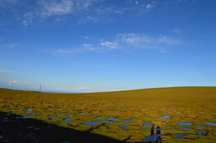 草原上的光伏电站景观