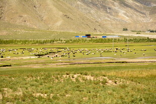 草原上的建筑与开阔风景