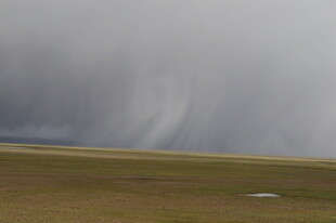 草原上的雨幕景观
