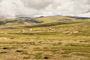 广袤草原与远山的自然景致