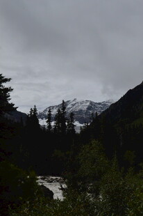 山间云雾缭绕的自然美景