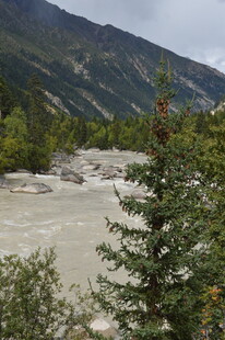 山间湍急河流与葱郁树木