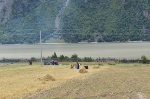 田野间的劳作场景