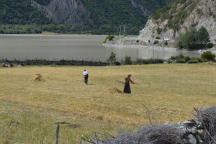 田野牧人 自然田园风光