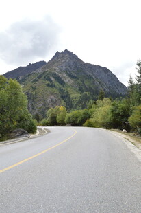 蜿蜒山路旁的青山绿树