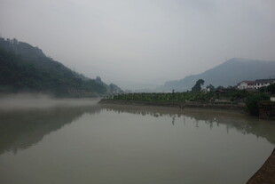 雾中河畔景色