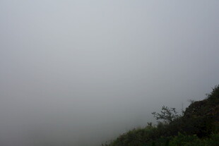 山间云雾缭绕的植被景观