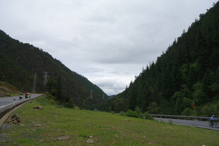 山间公路旁的葱郁景致