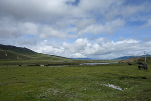 草原风光 蓝天白云绿地