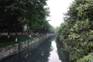 河畔绿树成荫的静谧水道