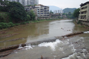 浑浊河流旁的城市景象