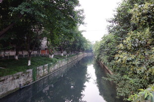 清幽河畔绿意盎然景色美