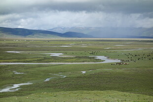 草原蜿蜒河流与远山风景