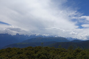 高山云海间的葱郁景致