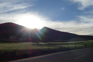 公路尽头的壮丽日出景观